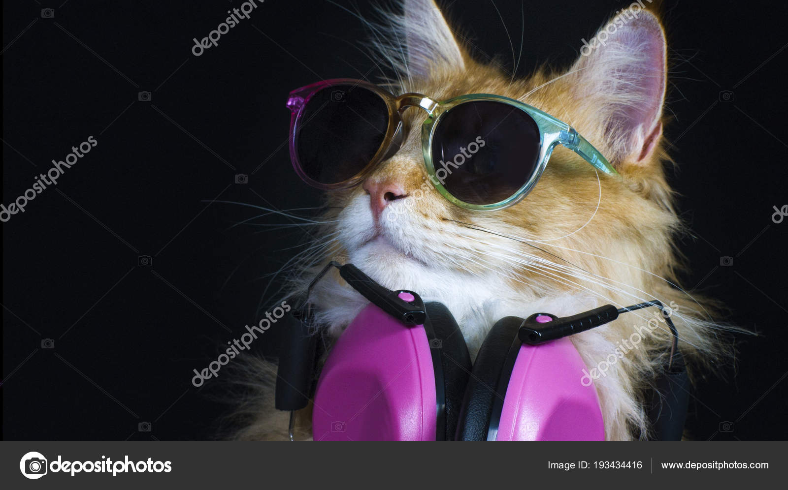 Cat Wearing Headphones Logo Bruin Blog
