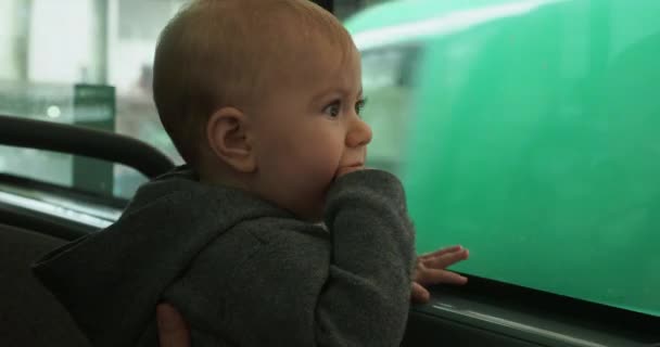 子供は人の手に座って窓のバスを探し — ストック動画