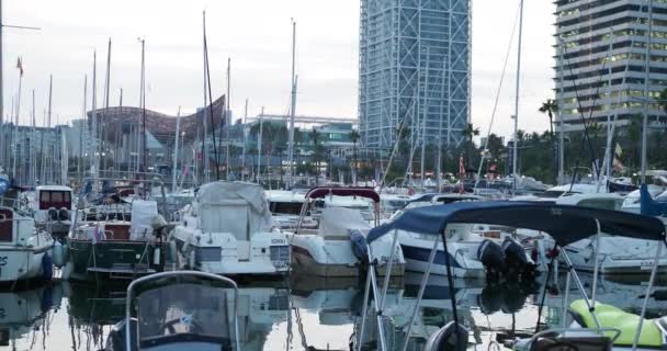 Ligne Yachts Dans Port Avec Des Bâtiments Sur Fond — Video