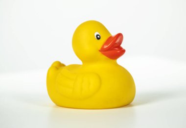 Parlak sarı oyuncak ördek Whit 'e karşı