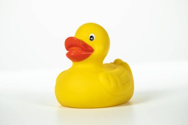 Parlak sarı oyuncak ördek Whit 'e karşı