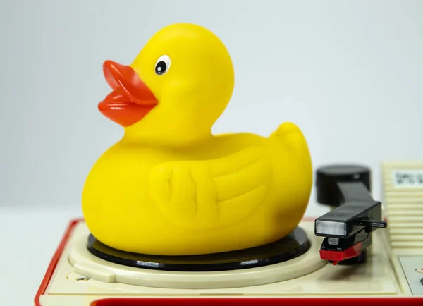 Vintage record player turning with yellow rubber duck on top spinning around.