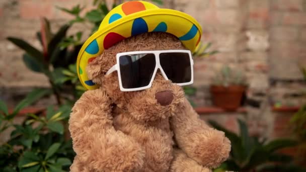 Cool Ours Peluche Brun Jouet Moelleux Dans Les Lunettes Soleil — Video