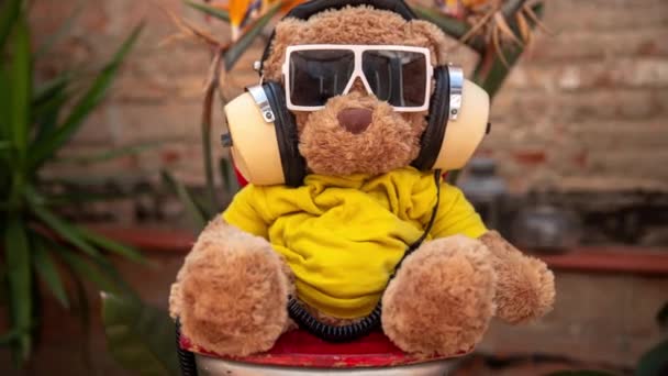 Cool Ours Peluche Brun Jouet Moelleux Dans Les Lunettes Soleil — Video