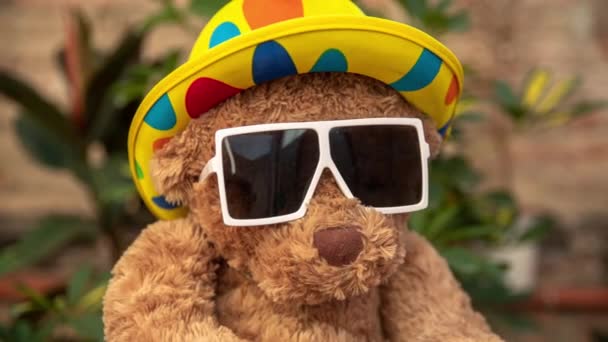 凉爽的棕色泰迪熊毛绒玩具 戴着太阳镜和帽子 坐在阳台上的椅子上 用植物装饰 — 图库视频影像