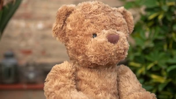 Brown Teddy Bear Fluffy Toy Sitting Chair Balcony Terrasse Plants — Stock Video