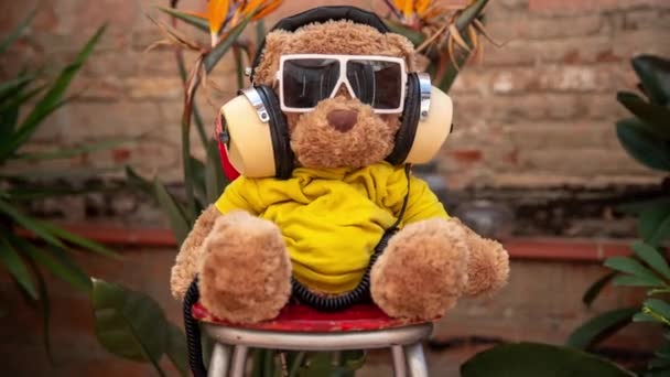 Cool Brown Teddy Bear Fluffy Toy Sunglasses Headphones Sitting Chair — Stock Video