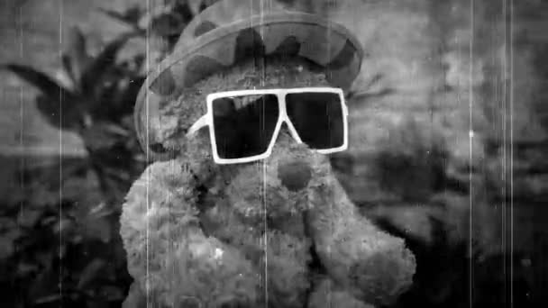 Chladný Hnědý Medvídek Nadýchaný Hračka Slunečních Brýlích Klobouk Sedí Židli — Stock video