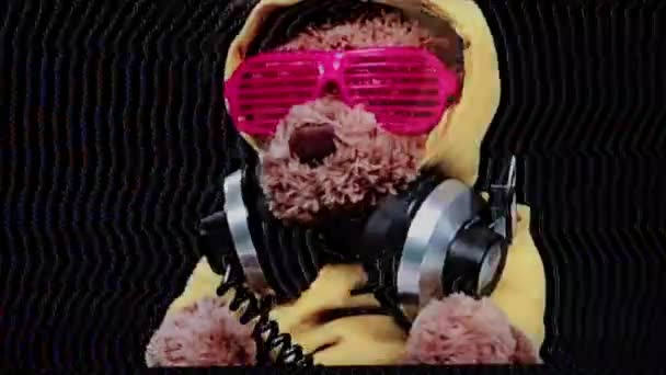 Osito Peluche Marrón Juguete Esponjoso Gafas Sol Auriculares Sobre Fondo — Vídeo de stock