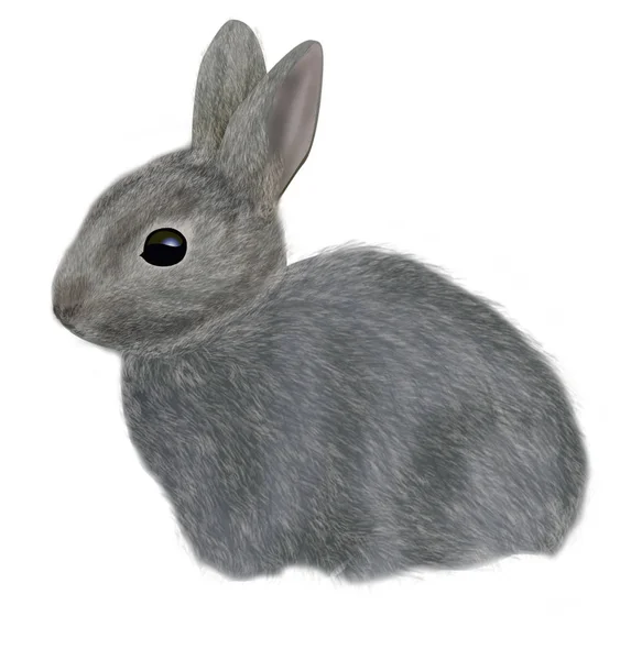 Кролик на белом фоне — стоковое фото