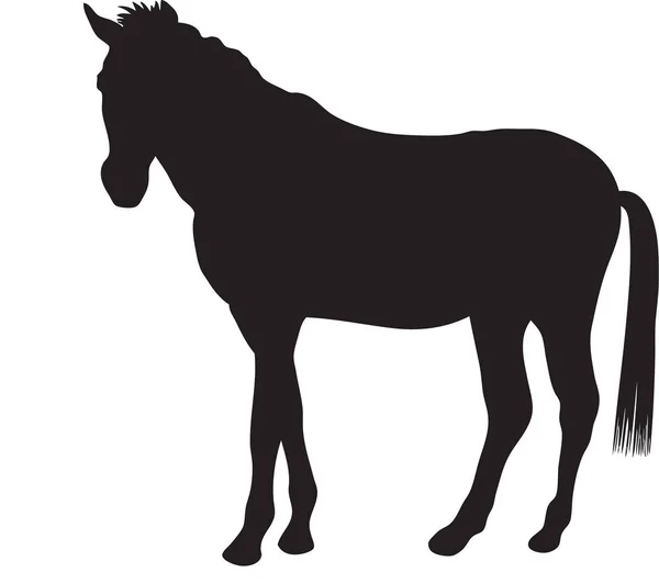 Pferdesilhouette auf Weiß — Stockfoto