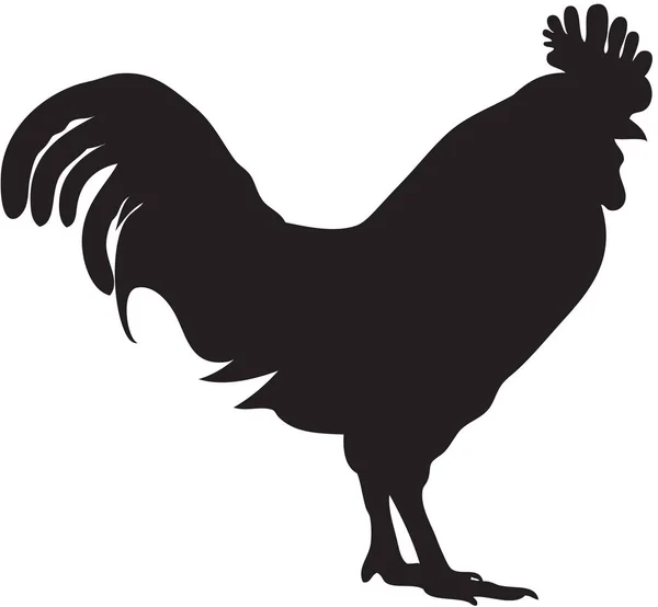 Cockerel silhouette illustration on white — Stock Photo, Image