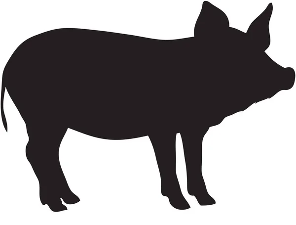 Силуэт свиньи на белом — стоковое фото