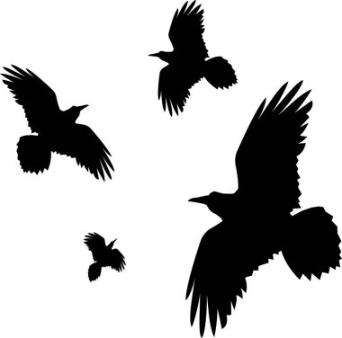Beyaz karga siluet çizimi