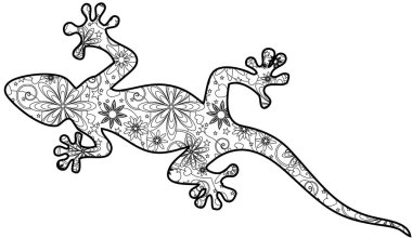 zentangle kertenkele resimde beyaz