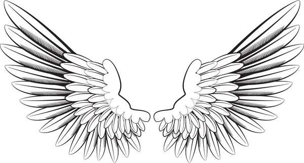 Flügel auf weißer Abbildung — Stockfoto