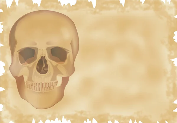 Parchment with skull illustration — Stock Photo, Image