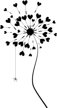 karahindiba saati örümcek ile