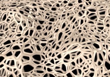 Kemik fiber 3d çizim