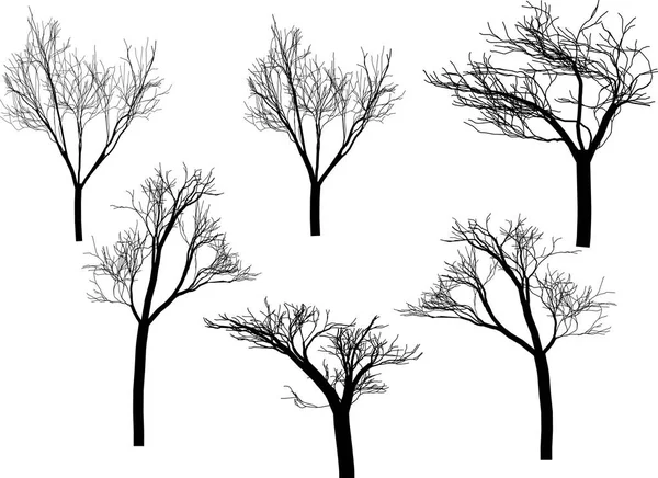 Árvore de silhueta em branco — Fotografia de Stock
