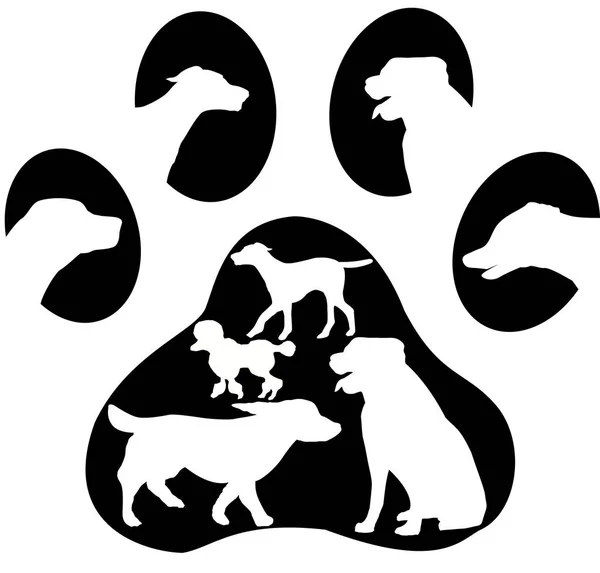 Beyaz köpek yazdırma logosuna — Stok fotoğraf