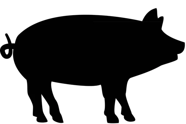 Porco com silhueta de cauda encaracolada — Fotografia de Stock