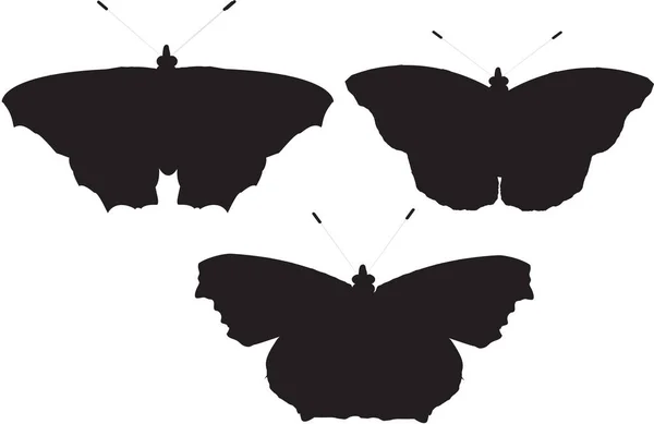 Motýl ilustrace silueta na bílém — Stock fotografie