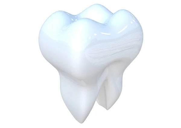 Dente renderização 3D em branco — Fotografia de Stock