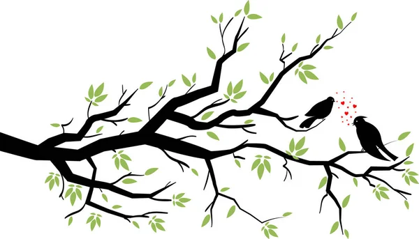 나뭇잎 실루엣 랑하는 — 스톡 사진