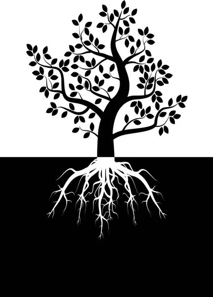 Tree silhouette with roots — Stock Photo, Image