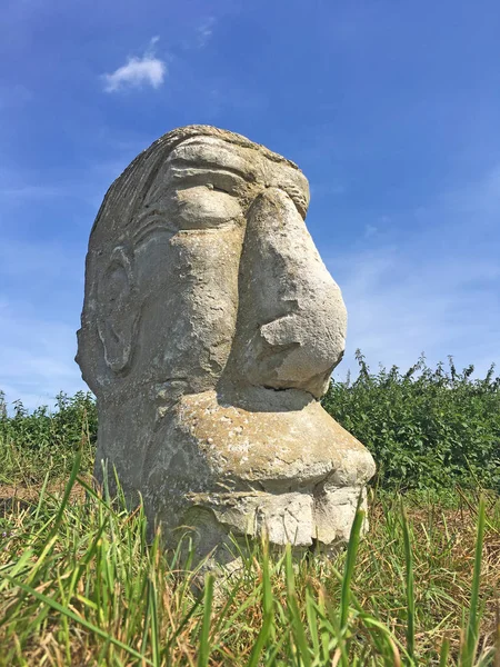 Stone carved head in grass — Stock Photo, Image