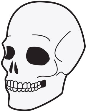 Beyaz üzerine Kurukafa Çizimi