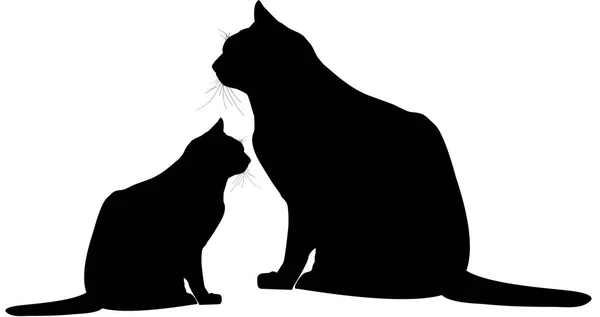 猫と子猫のシルエット — ストック写真