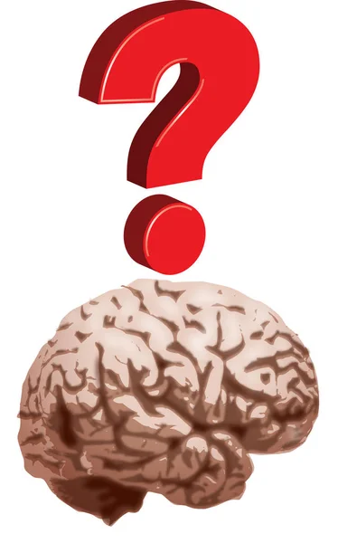 Brain with 3D question mark — Stock Photo, Image