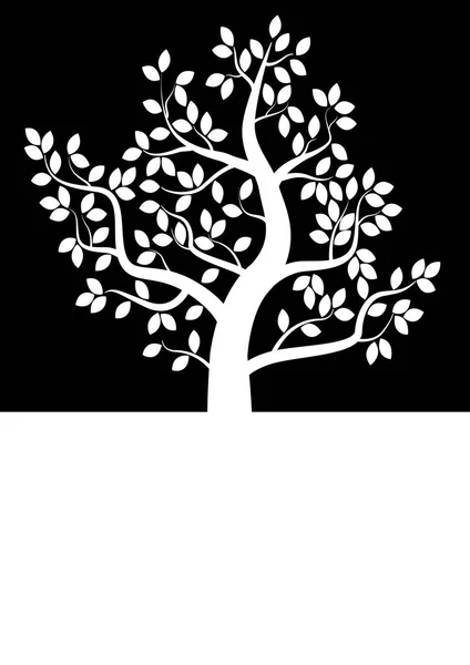 Tree silhouette with text space — Stock Photo, Image