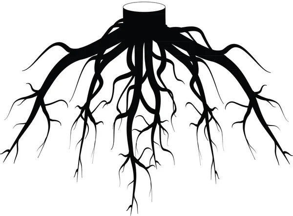 Illustrazione silhouette radici albero — Foto Stock