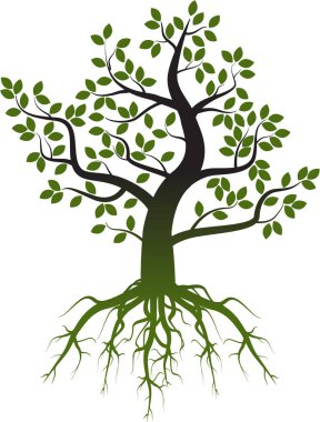 Kökleri olan ağaç silueti