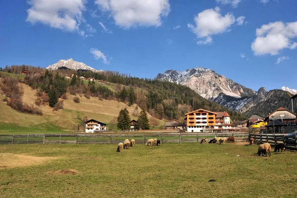 Dolomites dağlarda yaz ile tipik bir köyü manzara — Stok fotoğraf