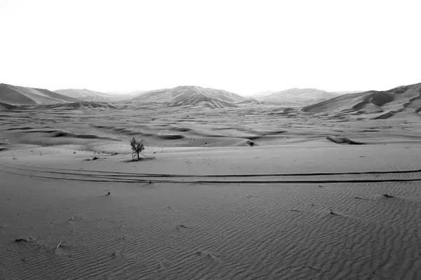 Em oman velho deserto esfregar al khali o quarto vazio e ao ar livre — Fotografia de Stock