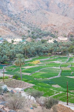 Umman eski terk edilmiş köy 