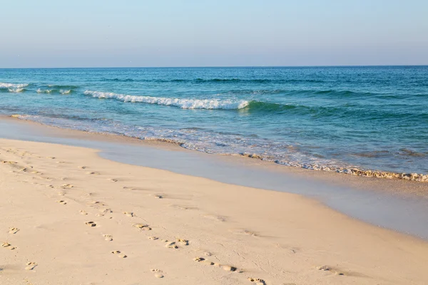 In oman arabic sea   sandy beach — Stock Photo, Image