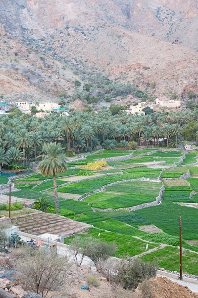 Umman eski terk edilmiş köy 
