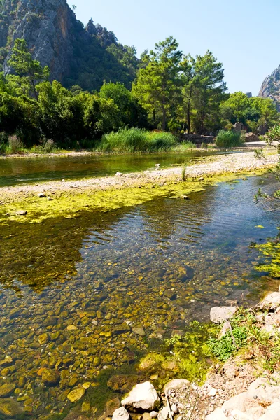 Vicino al fiume e alla natura — Foto Stock