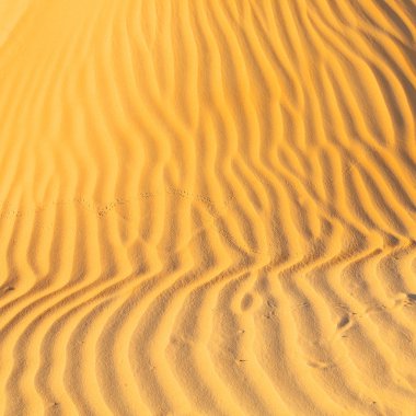 Umman eski çöl ve boş çeyrek soyut doku l