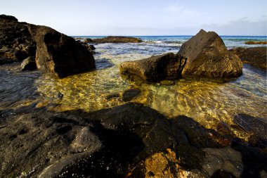 köpük kıyı şeridi lanzarote su misk ve yaz    