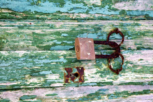 Padlock spain   brass knocker  door wood in the green — Stock Photo, Image