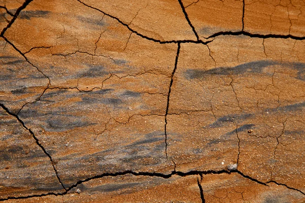 Textura espanha de uma areia seca quebrada e líquenes — Fotografia de Stock