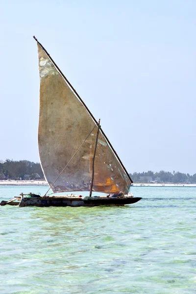 Spiaggia in alghe di zanzibar — Foto Stock