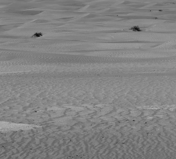 In oman alten Wüste rub al khali das leere Viertel und im Freien — Stockfoto