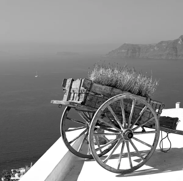 Chariot à main mer en architecture europe cyclades santorini vieux — Photo